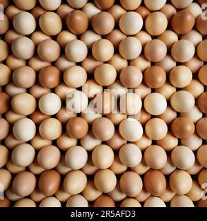 Una vista dall'alto di un'abbondanza di uova fresche e sane di gallina cruda in diverse sfumature di guscio disposte ordinatamente in una scatola di uova, perfetta per una deliziosa bre Foto Stock