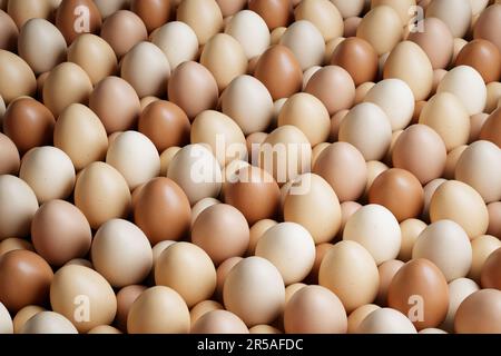 Una vista dall'alto di un'abbondanza di uova fresche e sane di gallina cruda in diverse sfumature di guscio disposte ordinatamente in una scatola di uova, perfetta per una deliziosa bre Foto Stock