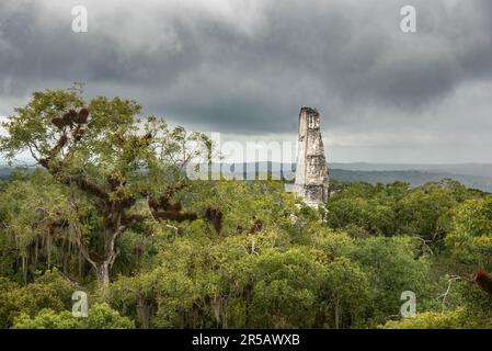 Il Tempio III sorge sopra la giungla al Parco Nazionale Tikal, Petén, Guatemala Foto Stock