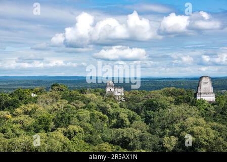 Il Tempio IV sorge sopra la giungla nel Parco Nazionale Tikal, Petén, Guatemala Foto Stock