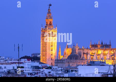 Veduta aerea del famoso Campanile chiamato Giralda di notte, Siviglia, Andalusia, Spagna Foto Stock