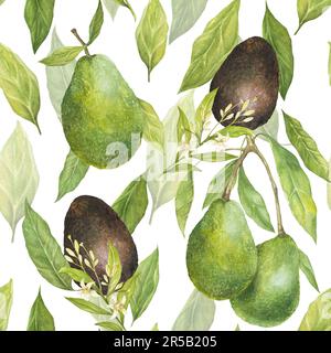 Acquerello senza cuciture con illustrazione di appetitosi avocado di asino verde e foglie e fiori su sfondo bianco. Foto Stock