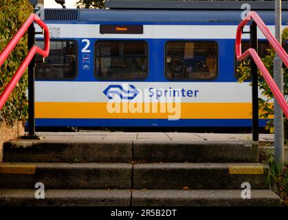 Bunnik, Paesi Bassi - 10 ottobre 2021: Ferrovia olandese (olandese: Nederlandse Spoorwegen o NS) elettrico blu, bianco e giallo treno stand Sprinter Foto Stock