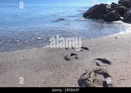 Impronte umane o gradini lasciati sulla sabbia di una spiaggia Foto Stock