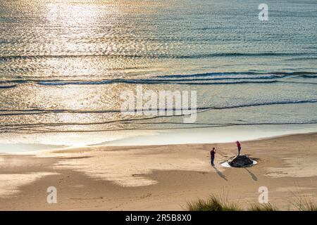 Giovani coppie che camminano al tramonto sulla spiaggia di Whitesands Bay, una spiaggia con bandiera Blu, la penisola di St David, il Pembrokeshire Coast National Park, West Wales Foto Stock