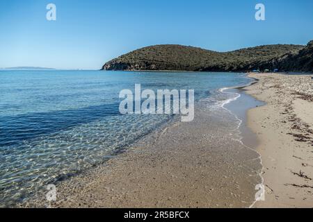 La bellissima spiaggia con le acque blu di Cala Violina in Toscana. Foto Stock