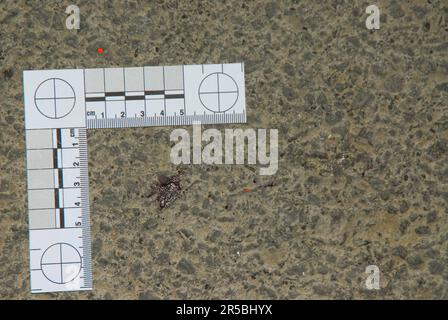 Sangue sulla strada da un drive-by tiro Foto Stock