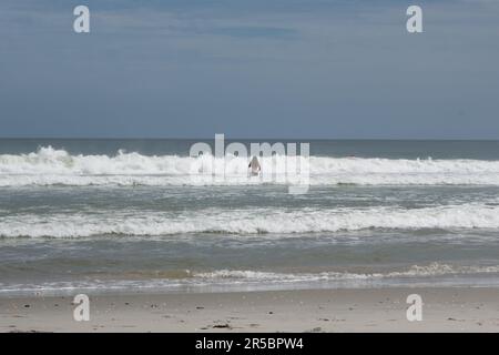 Una donna che gioca nel surf a Myrtle Beach, SC Foto Stock