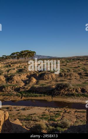 Fiume artificiale alimentato da acque trattate provenienti dall'impianto di trattamento delle acque reflue di Taourirt City, Marocco Foto Stock