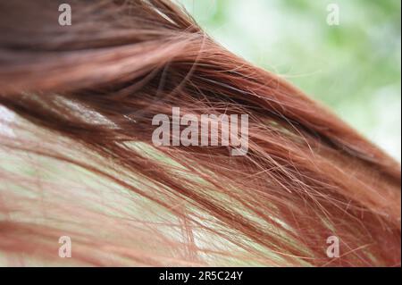 Un'immagine di primo piano di una giovane donna dai capelli lunghi, vibranti, rossi Foto Stock