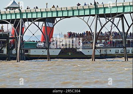 Clevedon, Regno Unito. 02nd giugno, 2023. In un pomeriggio molto caldo si vede il solo Worlds Last paddle Steamer che raccoglie le code di passeggeri dal Molo di Clevedon, l'unico Molo operativo classificato di grado 1 in Inghilterra. Picture Credit: Robert Timoney/Alamy Live News Foto Stock