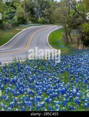 Indietro strade Ennis Texas Foto Stock