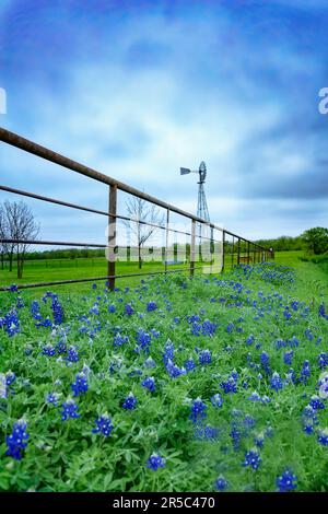 Indietro strade Ennis Texas Bluebonnet Mulino a vento Foto Stock