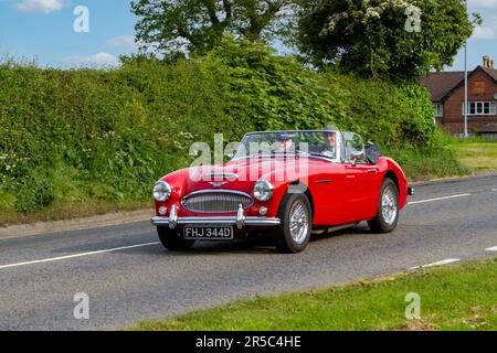 Anni '1966 60 anni '60 Red Austin Healey. Auto d'epoca classica, motori d'epoca in viaggio verso la mostra di auto d'epoca da collezione Capesthorne Hall, Cheshire, Regno Unito Foto Stock