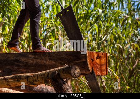 Non c'è segheria in Malawi. Ovunque le tavole sono segate a mano come a Malosa, Malawi Foto Stock