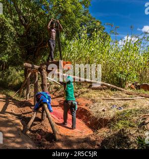 Non c'è segheria in Malawi. Ovunque le tavole sono segate a mano come a Malosa, Malawi Foto Stock