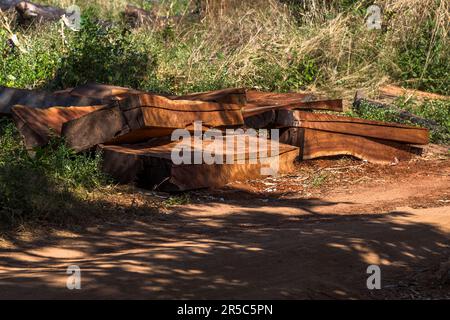 Non c'è segheria in Malawi. Ovunque le tavole sono segate a mano come a Malosa, Malawi Foto Stock