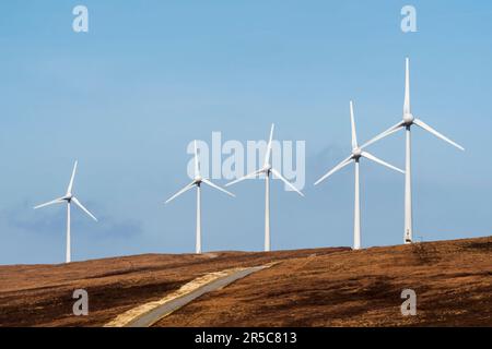 Turbine eoliche della Garth Wind Farm a Snevlabreck, a nord di Gutcher on Yell, Shetland Islands. Foto Stock