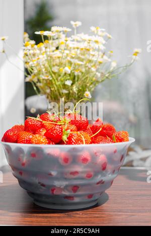 Maturi fragole succose in una ciotola sul tavolo, accanto ad un bouquet di margherite in un vaso dalla finestra sulla terrazza. Foto Stock