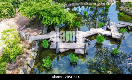 Incredibile vista aerea sul giardino giapponese di zigzag bridgein Kaiserslautern e alberi di acero rosso. Fine maggio in Renania Palatinato: Rosso giapponese b Foto Stock