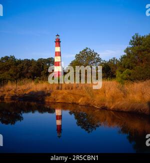 USA, Virginia, Isola di Assateague, Chingoteague, Faro di Assateague (1866/67), faro nel paesaggio autunnale, fine estate, Chincoteague Island Foto Stock