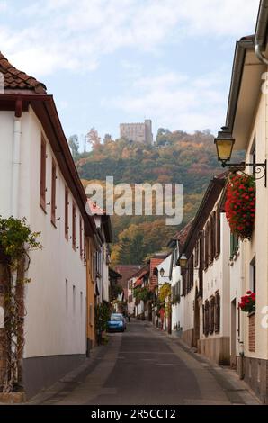 Storico Hambach Castle Lane Foto Stock