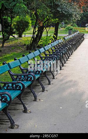 Panchine del parco, Parco Cismigiu, Bucarest, Romania Foto Stock