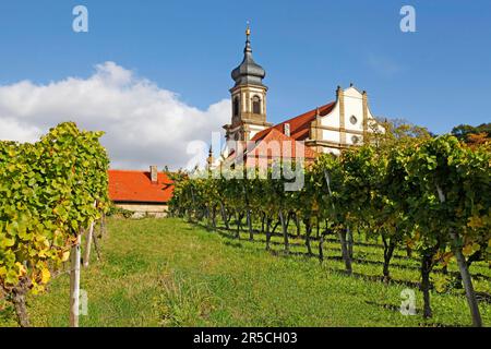 St Johannis Evangelical Lutheran Church, costruita tra il 1784 e il 1788, il maestro costruttore di Wuerzburg Josef Albert, tardo barocco, primo classicismo, Castell, Lower Foto Stock