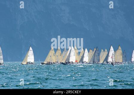 Windsurf sul Lago di Garda vicino a Torbole, Trentino, Italia Foto Stock