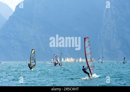 Windsurf sul Lago di Garda vicino a Torbole, Trentino, Italia Foto Stock