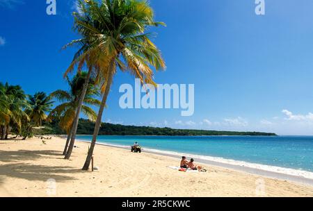 Sun Bay Beach sull'isola di Vieques, Porto Rico, Caraibi Foto Stock