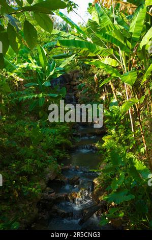 Hotel di lusso Evason Six Senes Hideaway sull'isola di Yao noi vicino all'isola di Phuket, Resort, Thailandia Foto Stock