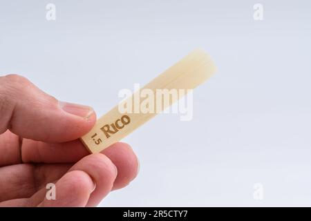 Rico RCA0315 Clarinet Reeds. Reed per Clarinet isoalted su bianco. Stafford, Regno Unito, 2 giugno 2023 Foto Stock