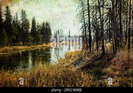 Yellowstone, Wyoming; Pole Cat Creek Foto Stock