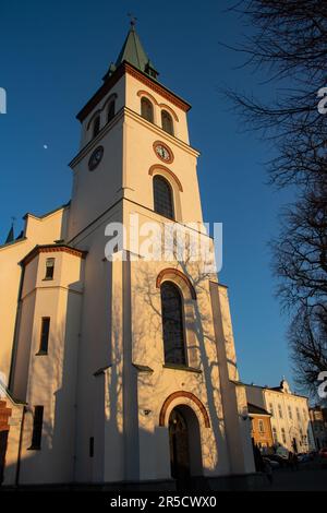 Il castello di Lancut in Polonia è una magnifica fortezza storica con un ricco patrimonio culturale, un'architettura mozzafiato, splendidi interni e giardini Foto Stock
