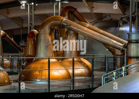 Interno della nuova distilleria di whisky scozzese presso la distilleria Macallan di Craigellachie a Moray, Scozia, Foto Stock