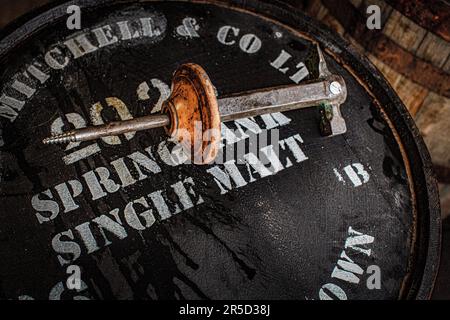 estrattore di bung per fusti di whiskey Foto Stock