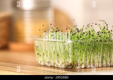 Contenitore in plastica con micro verde fresco sul tavolo in cucina Foto Stock