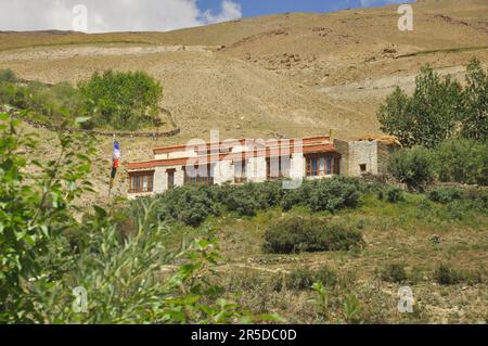 Una tradizionale casa Ladakhi immersa nel verde in una montagna asciutta della valle di Zanskar, Ladakh, INDIA Foto Stock