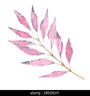 Ramo acquerello con foglie rosa. Illustrazione isolata su sfondo bianco. Filiale per inviti, cartoline, banner, loghi, biglietti da visita Foto Stock