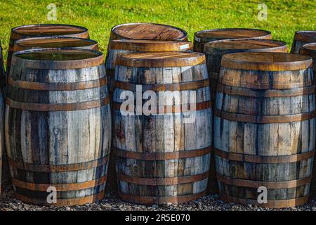 Distilleria NC’nean a Drimnin Estate a Movern , Scozia, Regno Unito. Foto Stock