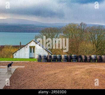 Distilleria NC’nean a Drimnin Estate a Movern , Scozia, Regno Unito. Foto Stock