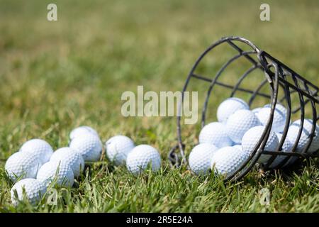 Pallina da golf sul tee e palline da golf nel cestino sull'erba verde per la pratica. Attrezzature sportive Foto Stock