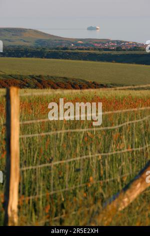 Terreni agricoli in una serata di sole nel Parco Nazionale di South Downs con il tramonto sul Sussex Weald. Newhaven a Dieppe traghetto auto nella lontana Foto Stock