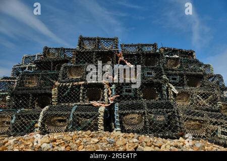 Aragosta Stacked on the Beach presso la Costal Town di Eastbourne, East Sussex. Vista ad angolo basso. Foto Stock