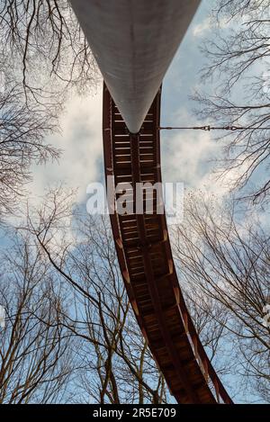 Il sentiero a baldacchino a forma rotonda Tis si trova sulle montagne Gereche nell'Ungheria settentrionale. Il sentiero è ben visibile dall'aria in inverno. Foto Stock