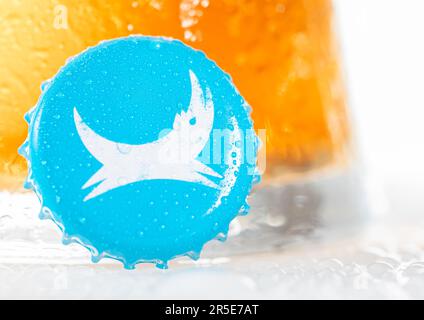 LONDRA, Regno Unito - 29 DICEMBRE 2022: Tappo della bottiglia di birra di Brew Dog Craft con vetro freddo su sfondo bianco. Foto Stock