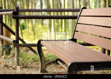Parco primaverile scenario con bambù e rose e strada a Namgang, Jinju città, Corea del Sud Foto Stock