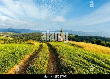 Estate villaggio di montagna periferia con sentiero di campagna di fronte e Tatra gamma dietro (Gliczarow Gorny, Polonia) Foto Stock