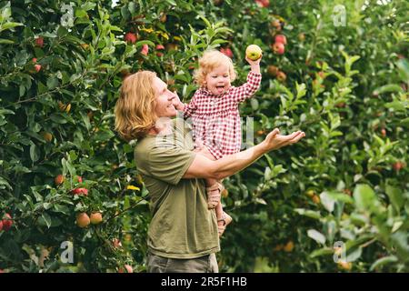 Ritratto all'aperto di bel giovane padre con carina ragazza toddler raccolta mele in frutteto, felice parenting Foto Stock
